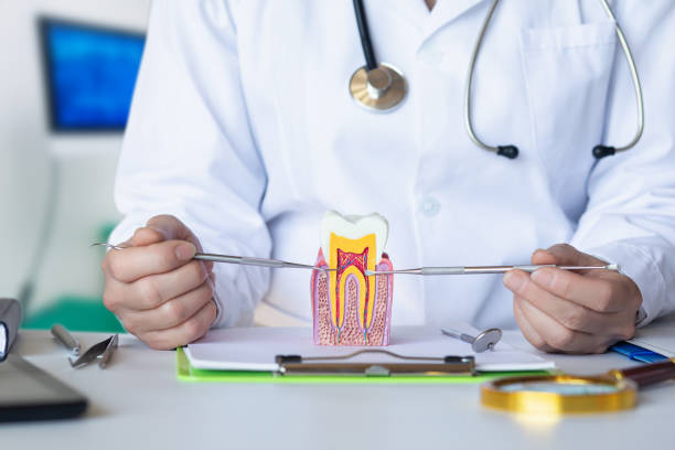 Best Emergency Dental Care for Trauma or Injury in Englewood Cliffs, NJ